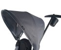 MILLY MALLY Qplay Rowerek trójkołowy Elite Platinum Grey