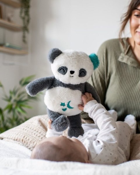 TOMMEE TIPPEE TTP491647 Pluszowy Szumiś Panda TOMMEE TIPPEE TTP491647 Pluszowy Szumiś Panda