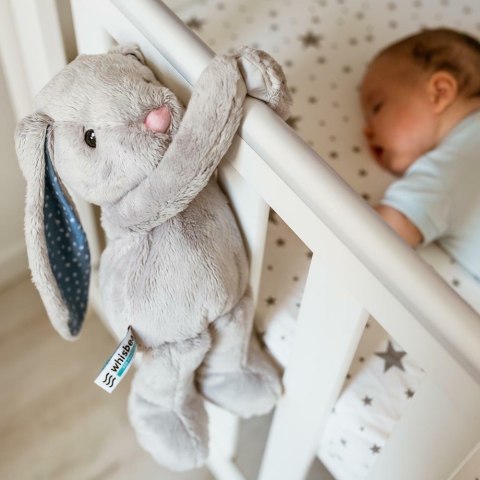 WHISBEAR 45029 Szumiący Królik Felek WHISBEAR 45029 Szumiący Królik Felek