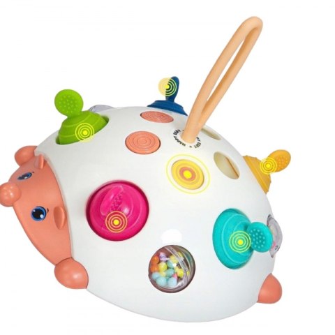 WOOPIE 52395 Jeżyk sensoryczny 4w1 Pop-it WOOPIE 52395 Jeżyk sensoryczny 4w1 Pop-it