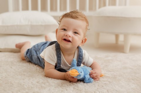 BALIBAZOO BB 82404 Sensoryczna Gęś niebieska BALIBAZOO BB 82404 Sensoryczna Gęś niebieska
