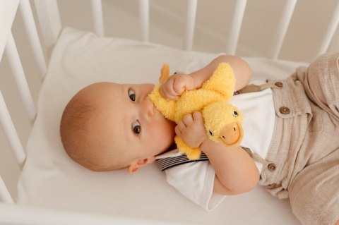 BALIBAZOO BB 82405 Sensoryczna Gęś żółta BALIBAZOO BB 82405 Sensoryczna Gęś żółta