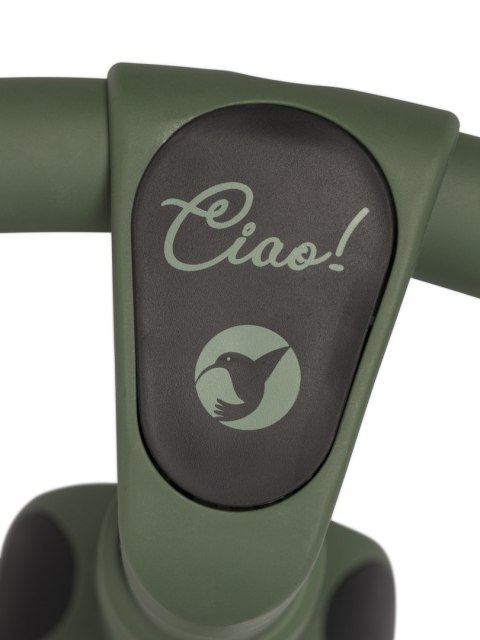 COLIBRO Rowerek dziecięcy CIAO FOREST GREEN COLIBRO Rowerek dziecięcy CIAO FOREST GREEN