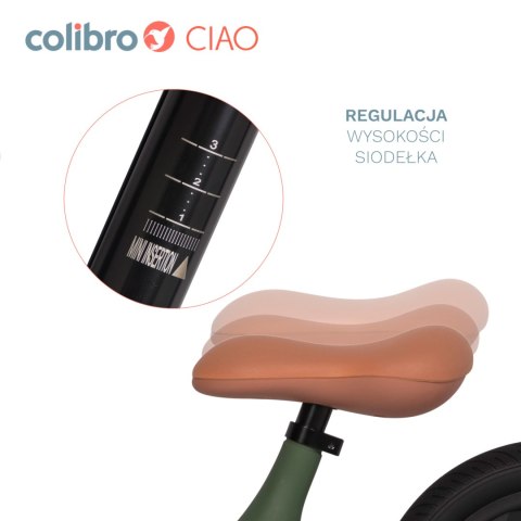 COLIBRO Rowerek dziecięcy CIAO FOREST GREEN COLIBRO Rowerek dziecięcy CIAO FOREST GREEN