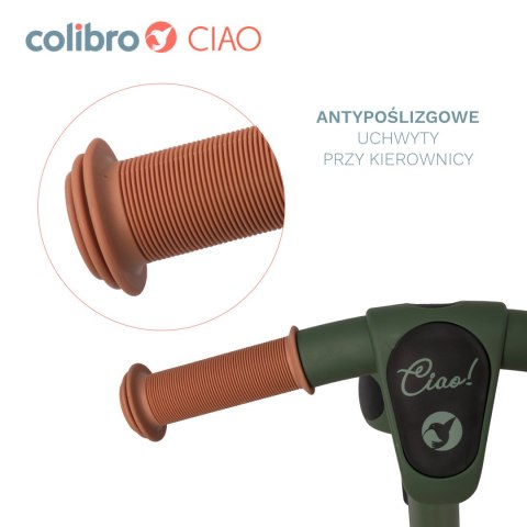 COLIBRO Rowerek dziecięcy CIAO FOREST GREEN COLIBRO Rowerek dziecięcy CIAO FOREST GREEN